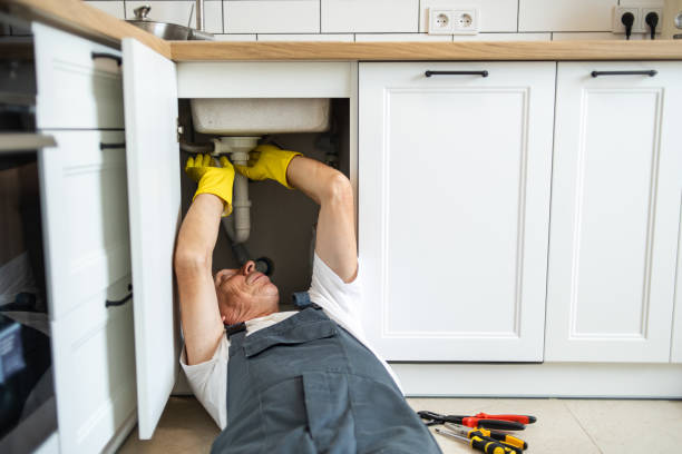 Best Best Plumbers Near Me  in Shepherd, TX