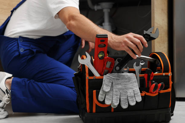 Best Plumbing Services Near Me  in Shepherd, TX